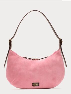 Frances Valentine Starr Hobo Suede